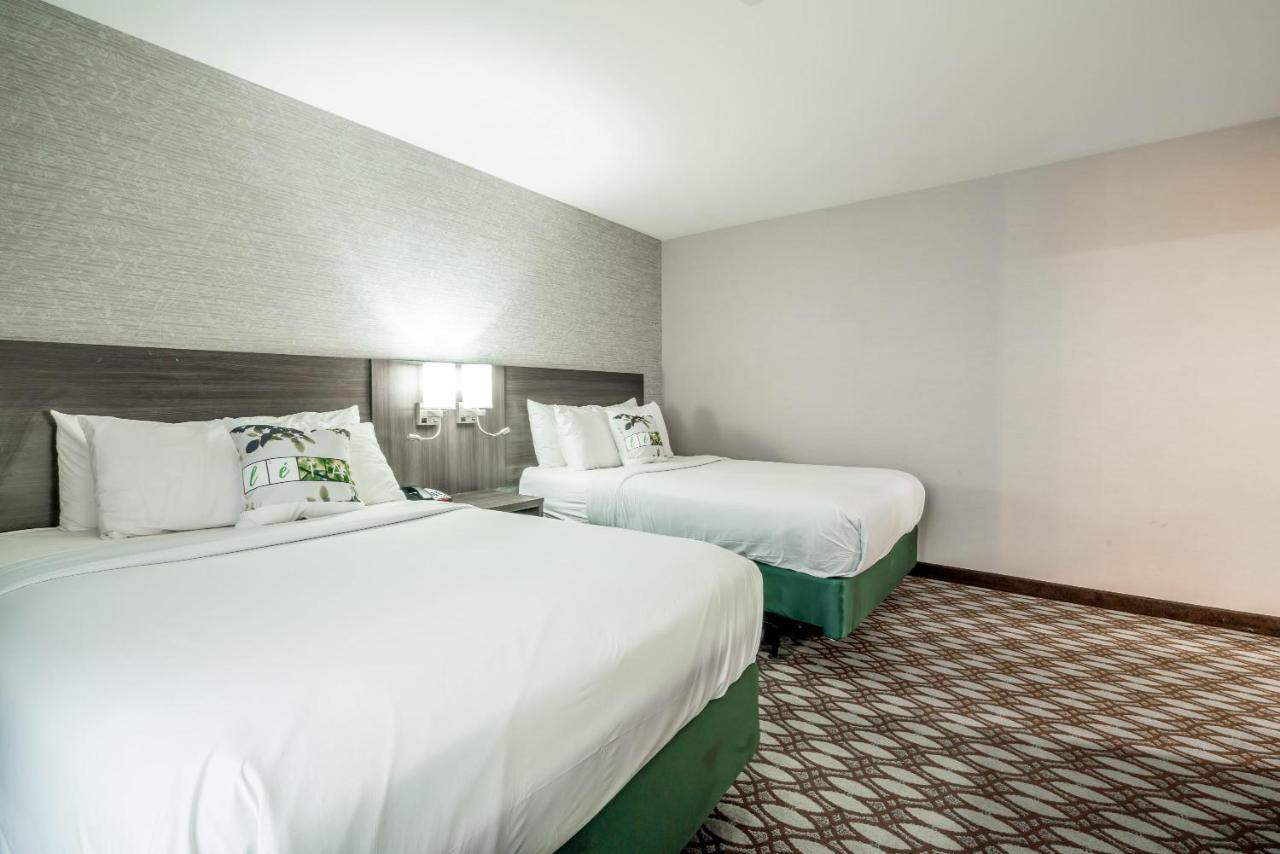ניו יורק Letap Hotel Near Airtrain Jfk Airport מראה חיצוני תמונה